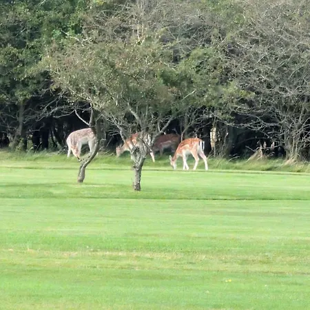 Seaside Escape In Ho Bay - By Traum