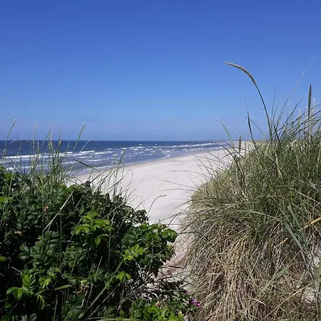 Holiday home 5 Star In Blavand Ho