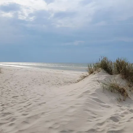 5 Star In Blavand Holiday home *